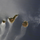 Illustration for article titled NASAs Earth Photo of the Year: Puny Islands Float in the Turbulent Sea